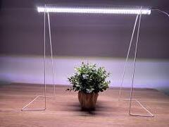 Лампы и светильники для растений
