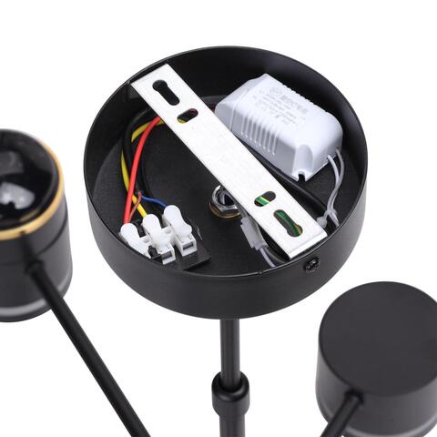 Люстра на штанге Lumion VIRSAVA 8234/6C