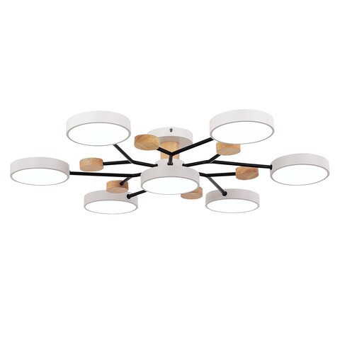 Светильник потолочный Evoluce Faema SLE6006-502-07