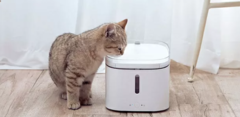 Дозатор воды для животных Xiaomi Mijia Smart Pet Water Dispenser 2л white