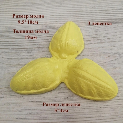 Молд пластиковый 