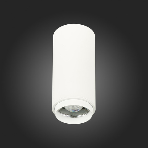 Светильник потолочный ST Luce ST600.542.10