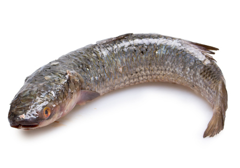 Кефаль очищенная охлажденная~1кг