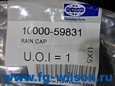 Крышка глушителя / CAP RAIN 3" АРТ: 10000-59831