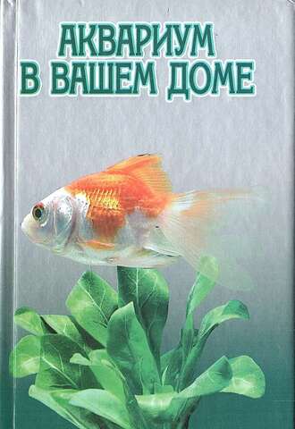 Аквариум в вашем доме