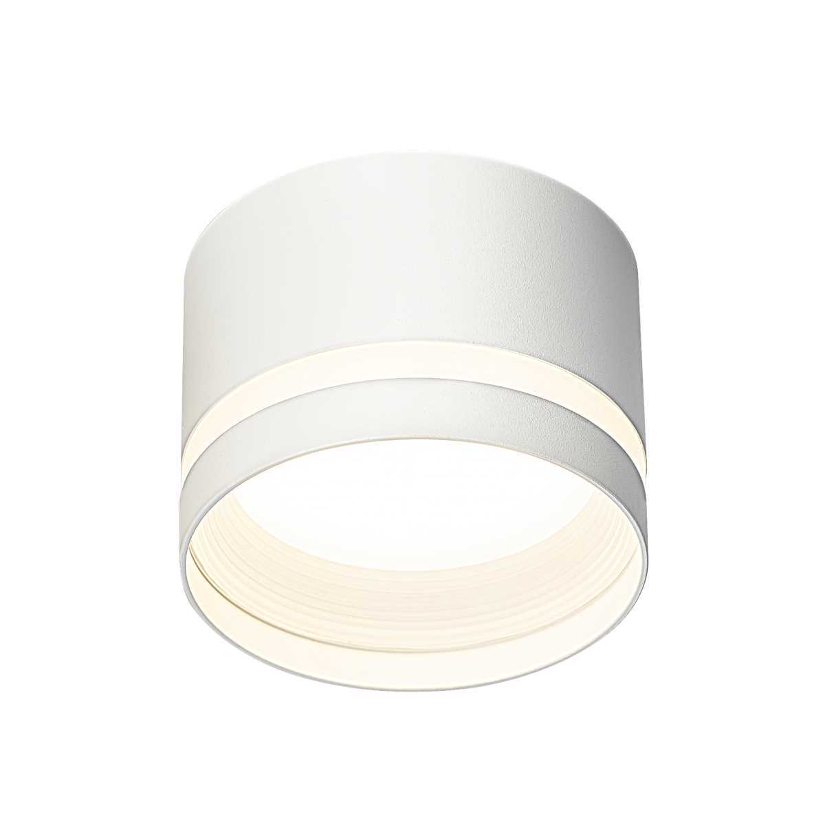 Потолочный светильник Citilux Hardy CL002C10