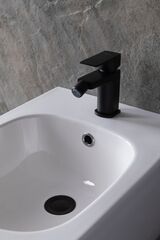 Смеситель для биде Allen Brau Infinity 5.21004-31 (с донным клапаном) черный матовый