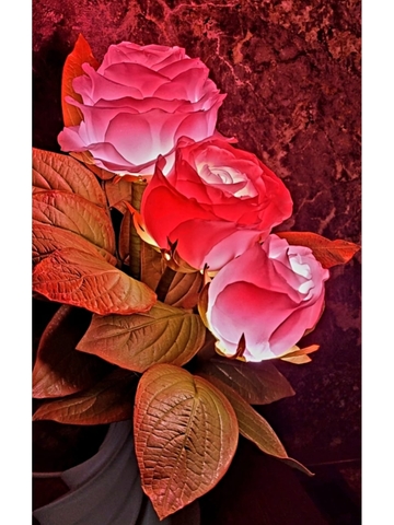 Молд пластиковый+вайнер силиконовый 