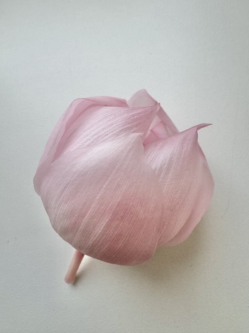 Лотос стабилизированный Нежно-розовый 6-9см (1шт) см.доп.описание