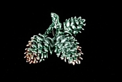 Силиконовый молд 