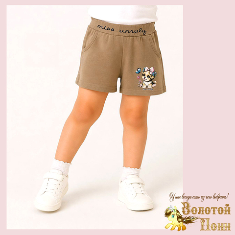 Шорты хлопок д (2-5) 260416-N567