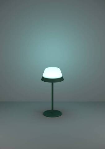 Аккумуляторная настольная лампа Eglo MEGGIANO 900981