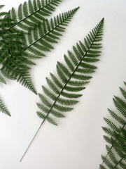 Папоротник, зелень искусственная, 56 см., набор 10 веток.
