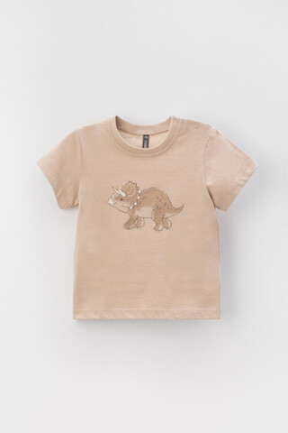 фуфайка  для мальчика  КР 302155/1/темно-бежевый