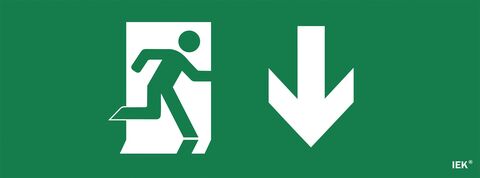 Этикетка самокл. 350х130мм 