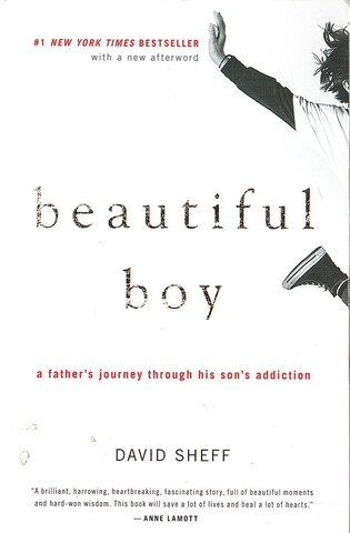 Beautiful Boy: A Father's Journey Through His Son's Addiction