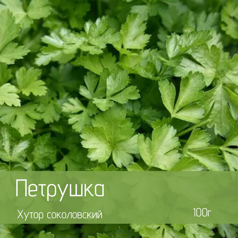 Петрушка органическая