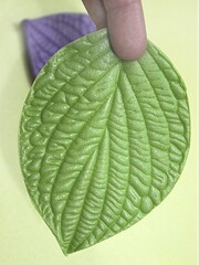 Молд пластиковый М-1 лист 11х8см