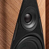 Sonus Faber Duetto