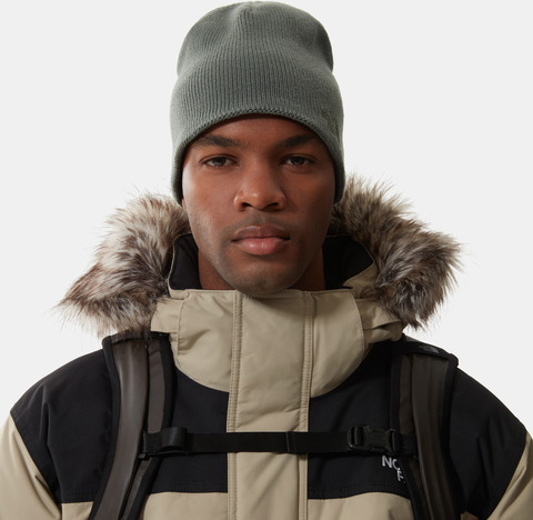 Картинка шапка The North Face Bones Recyced Beanie Laurelwre - 2