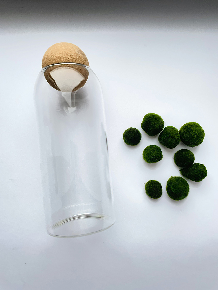 Moss ball pet в бутылке / мини аквариум HEIS. Флорариумы и экосистемы