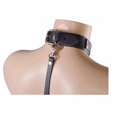 Ошейник с зажимами 