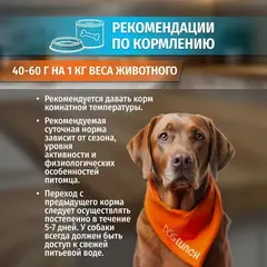 ДОГ ЛАНЧ консервы для собак (птица с рисом) 750г