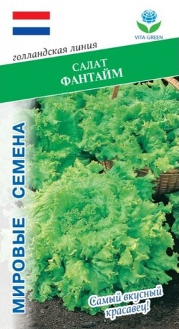 Семена Салат Фантайм