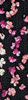 Пряжа Alize Superlana Maxi Flower 6221 (черный,белый,пудра,розовый)
