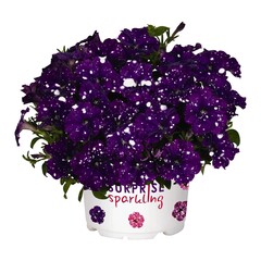 32106 Петуния SURPRISE SPARKLING BLUE (ВЕСНА 2025)