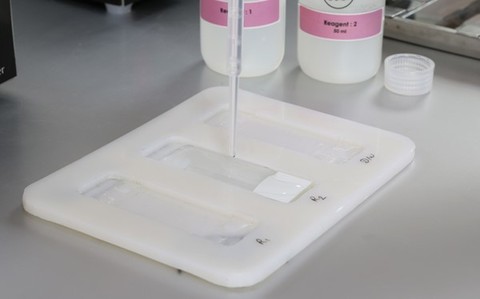 DNA Slide Immersion Tray