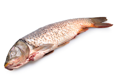 Сазан очищенный охлажденный~1.5кг