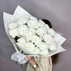 Алтай 11