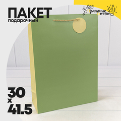 
          Пакет подарочный 30х41.5х12см Премиум (Зеленый)