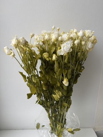 Кустовые розы Желтовато-белый (упаковка)