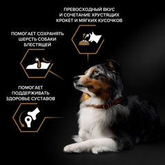 Pro Plan DUO DELICE сухой корм для взрослых собак (говядина,рис) 2,5 кг