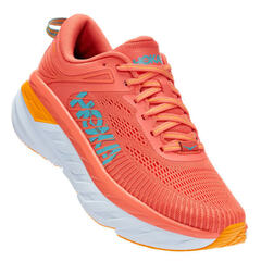 CAMELLIA / COASTAL SHADE