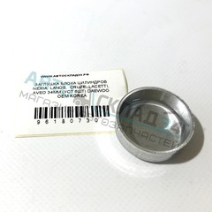 ЗАГЛУШКА БЛОКА ЦИЛИНДРОВ NEXIA, LANOS, CRUZE, LACETTI, AVEO 34ММ (УСТ 6ШТ) DAEWOO