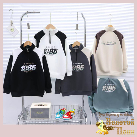 Толстовка хлопок м (6-11) 250718-RN2082