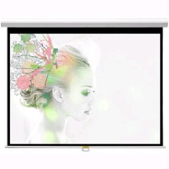 Экран для проектора Classic Solution Premier Orion II W 170x96/9 МW-FC/W