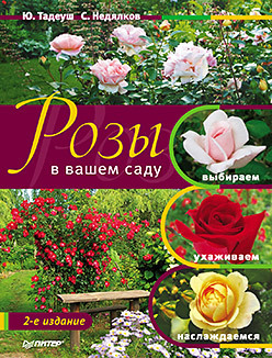 Розы в вашем саду: выбираем, ухаживаем, наслаждаемся. 2-е издание комплект чайно гибридных роз летний вихрь саженцы