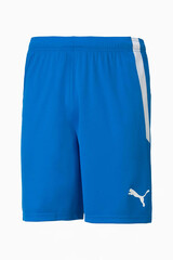 Шорты Puma teamLIGA