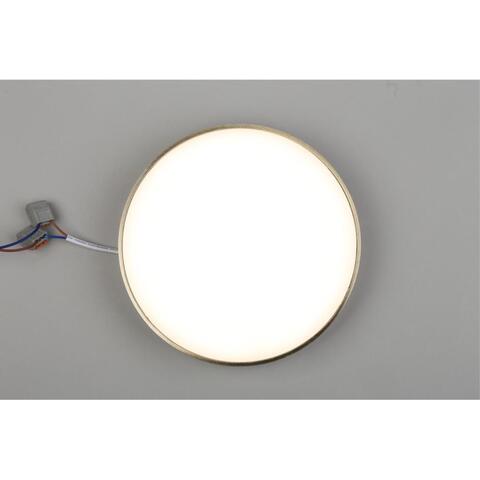 Потолочный светодиодный светильник Aployt Evon APL.0114.29.24