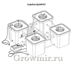 CubePot QUINTET