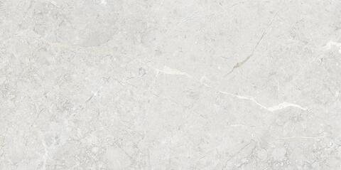 Art&Natura Una Pietra Silver Glossy 60x120