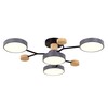 Светильник потолочный Evoluce Faema SLE6006-702-04