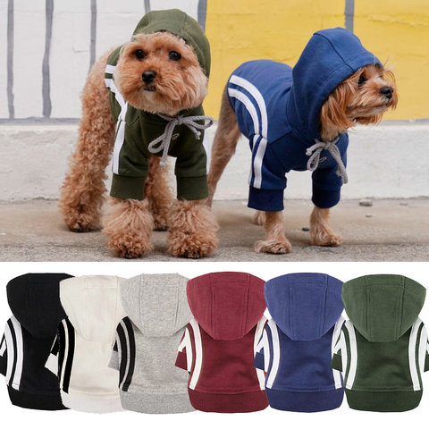 667 PA-TS Толстовка "SPORT PUPPY ANGEL"