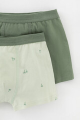 трусы/ уп  для мальчика  К 1980-2уп/папоротник,морская пена