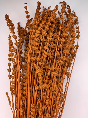 Лаванда стаб. (45-55см) Оранжевая