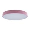 Потолочный светильник Loft It Axel 10002/24 Pink